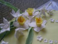 /album/cirkevne-torty/detail-narcisy-jpg/